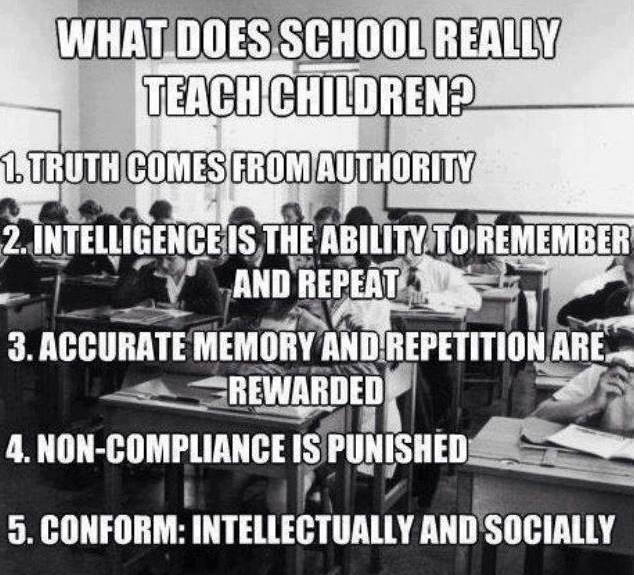 Public-Education-is-Indoctrination